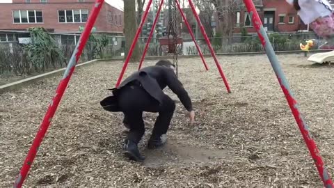 Awesome dad perfects swing stunt at the park