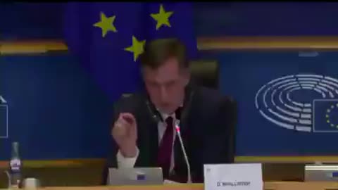 Intervention du député allemand David McAllister