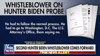 Second Hunter Biden whistleblower comes forward - wants to be known as Mr. X