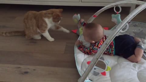 Cat and baby spark amazing friendship