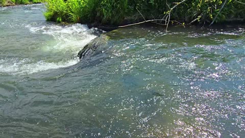 Rapids of a small river in 2 parts - strong current.