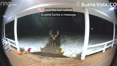 Family send message to Santa when one of his Reindeer turns up at the front door!