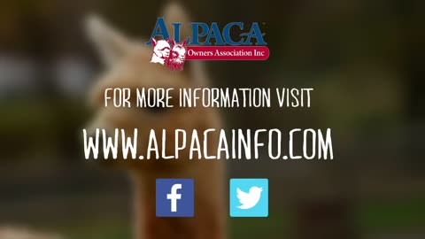 Inside the Alpaca Industry by Alpaca Owners Association, Inc.