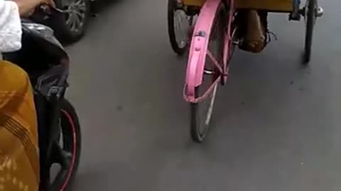 Driverless Pedicab