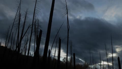 Erie Time Lapse Video Of Clouds Over Dead Plants