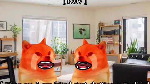 Funny Doge Meme