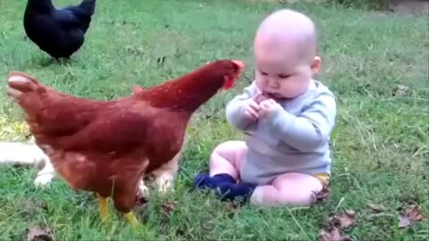Funny Baby Playing With Animals Belly Baby Funny Pet Videos