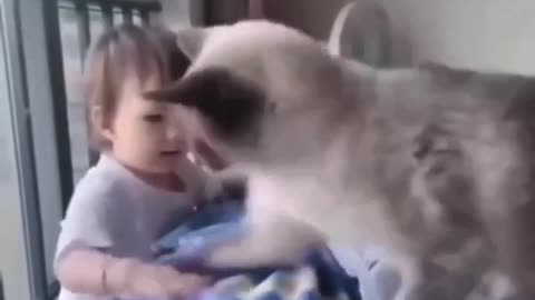 Baby’s and cats funny movement 😄😄