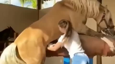 Horse SOO Cute! Cute And funny horse Videos Compilation moment