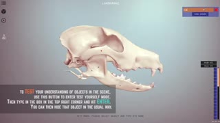 Interact in 3D - 3D Veterinary Anatomy, IVALA