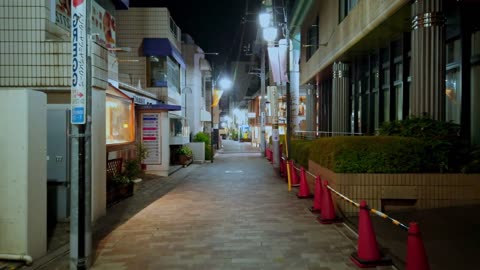 Tokyo Nightscape: Jiyugaoka Evening Walk in HD part 4