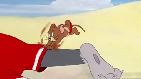 Tom and Jerry cartoon