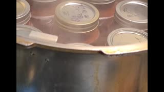 Canning The Tomato Harvest!