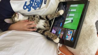 Sultan the cat sleeps with tablet