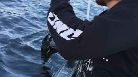 Guy in black sweatshirt on boat chugs beer and hand falls off into water