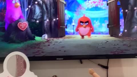 Angry bird video