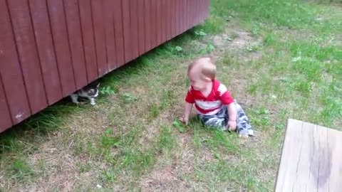 Cat Fails – Funny Cat Videos – Baby and Cats Funny Video