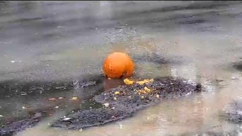 Halloween 2020 - Pumpkin mag dump