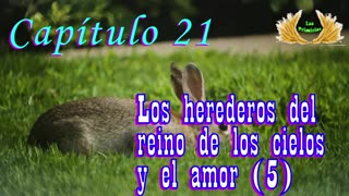 Capítulo 21 - Los herederos del reino de los cielos y el amor (5/5)