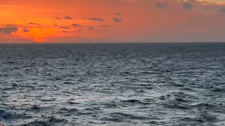 The Trip of a Lifetime: April 27 & 27, 2022 - The North Atlantic