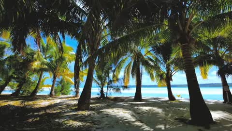 Tropical Beach Ocean Waves Calming Sea By The Ocean In The Shade - Relaxing 1 Hour