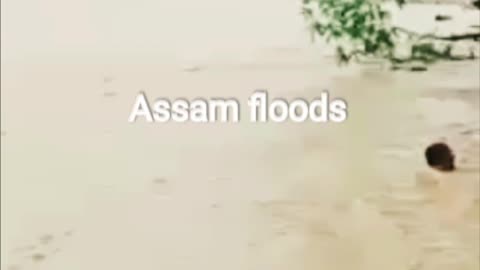 Assam LIVE Updates | Flood In Assam | Flood News | Assamese News Updates | News Assam North East