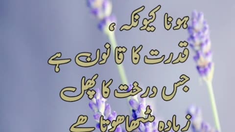 Hazrat Ali ke aqwal