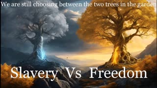 Slavery Vs Freedom