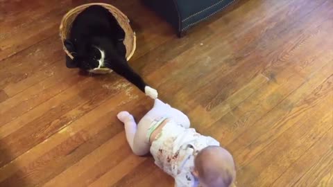 Funny Cats - Baby vs Cats Fun LIFE FUNNY PETS