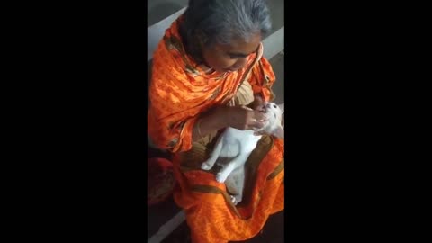 Hungry cat & old woman