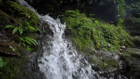 Tracking Shot of a Small Waterfall Slow motion tracking shot of a small woodland waterfall.