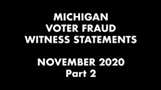 Michigan Voter Fraud Witness Says No Trump Votes Seen! PART TWO