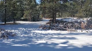 Ranger & first snow on our property