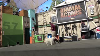 Universal Animal Actors Stage show at Universal Studios Hollywood 4K POV