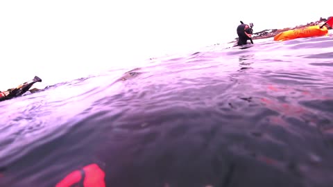 Spearfishing over at Monterey for Opaleye