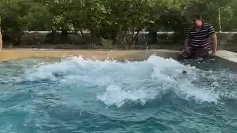 Swimming jumps