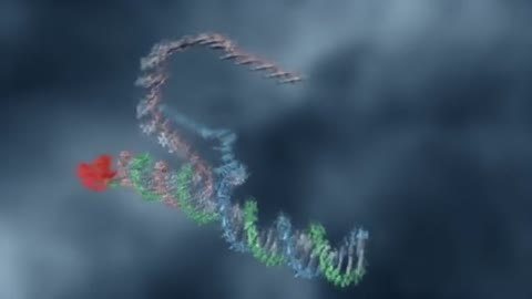 Bill Gates Programming DNA - Biological Computers Inside Your Cells