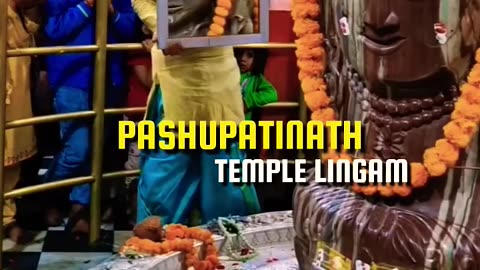 Pashupatinath Temple Lingam Mandsaur, Madhya Pradesh! #pashupatinath #mandsaur #ytshorts