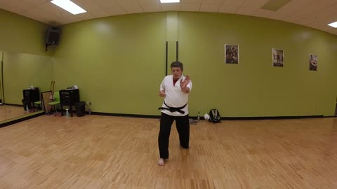 Kamishin-ryu Karate kata Kihon Sandan