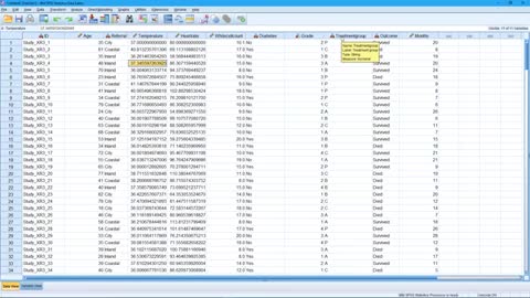 How to import data to SPSS software