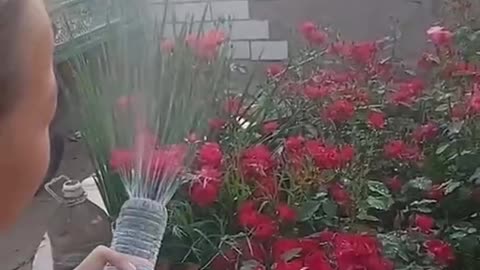 For watering