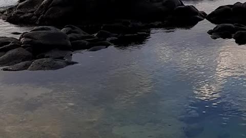 Waves crashing on rocks