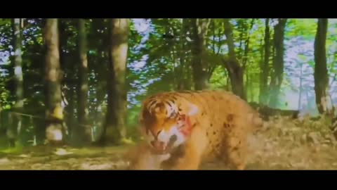 RRR ntr entry scenes tiger and bear fight