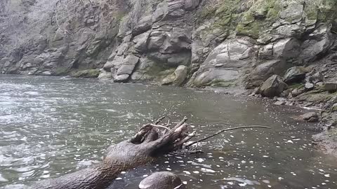 Waterfalls on the trout stream