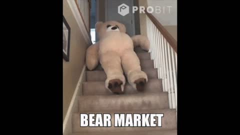 crypto bear market | parody meme