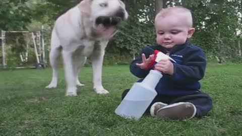 Baby Waters Dog With Spray Bottle