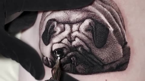 BEAUTIFUL Pet Realism done by Jose Contreras in TEXAS