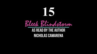 Free Audio Book: "Bleek Blindstorm"