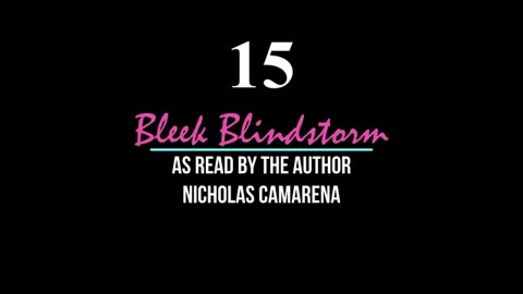 Free Audio Book: "Bleek Blindstorm"