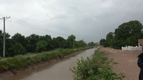 A green view of my village